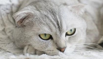 宁国伴游，定制QQ：3494206190微信：act1322